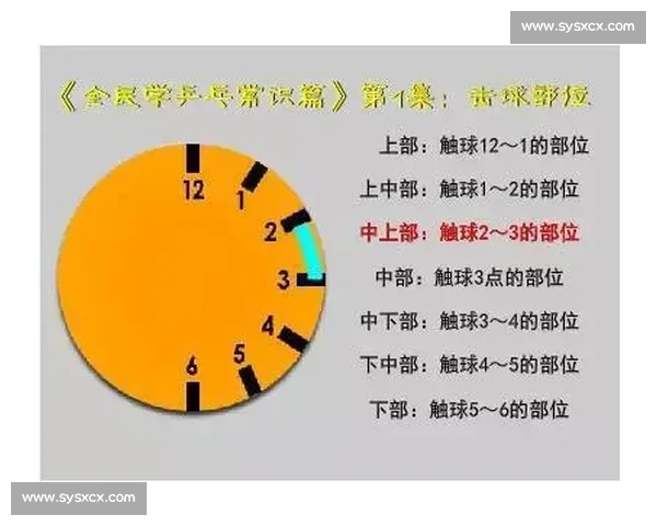 乒乓球与足球竞技魅力对比谁更能引发全民热情